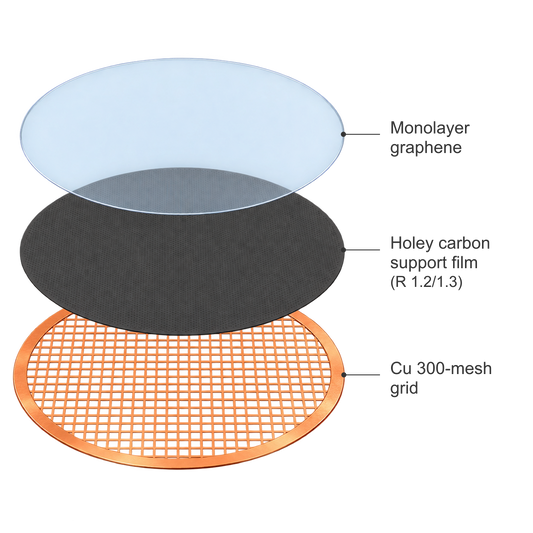 Exploded view of a cryo-EM grid showing monolayer graphene over R1.2/1.3 holey carbon on 300-mesh copper.