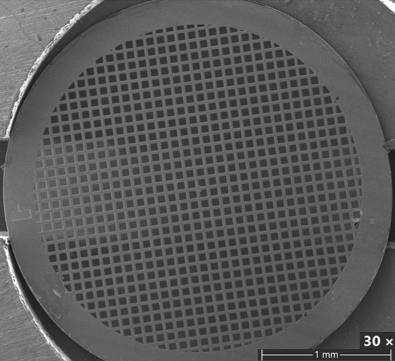 Early Access - Sindri Graphene Grids, Holey Carbon on Gold, R1.2/1.3, 300 Mesh