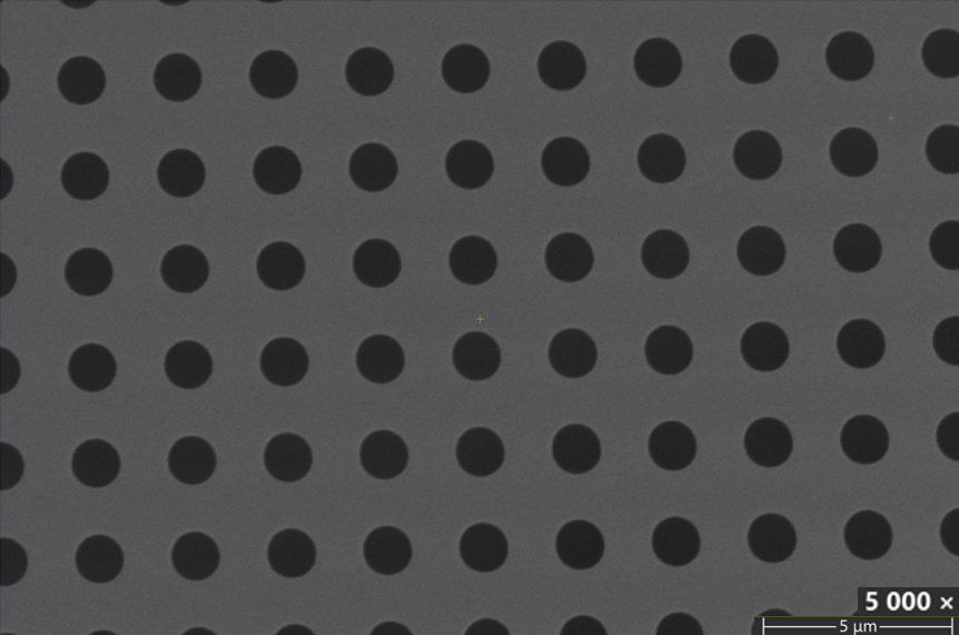 Early Access - Sindri Graphene Grids, Holey Carbon on Gold, R1.2/1.3, 300 Mesh