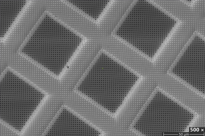 Early Access - Sindri Graphene Grids, Holey Carbon on Gold, R1.2/1.3, 300 Mesh