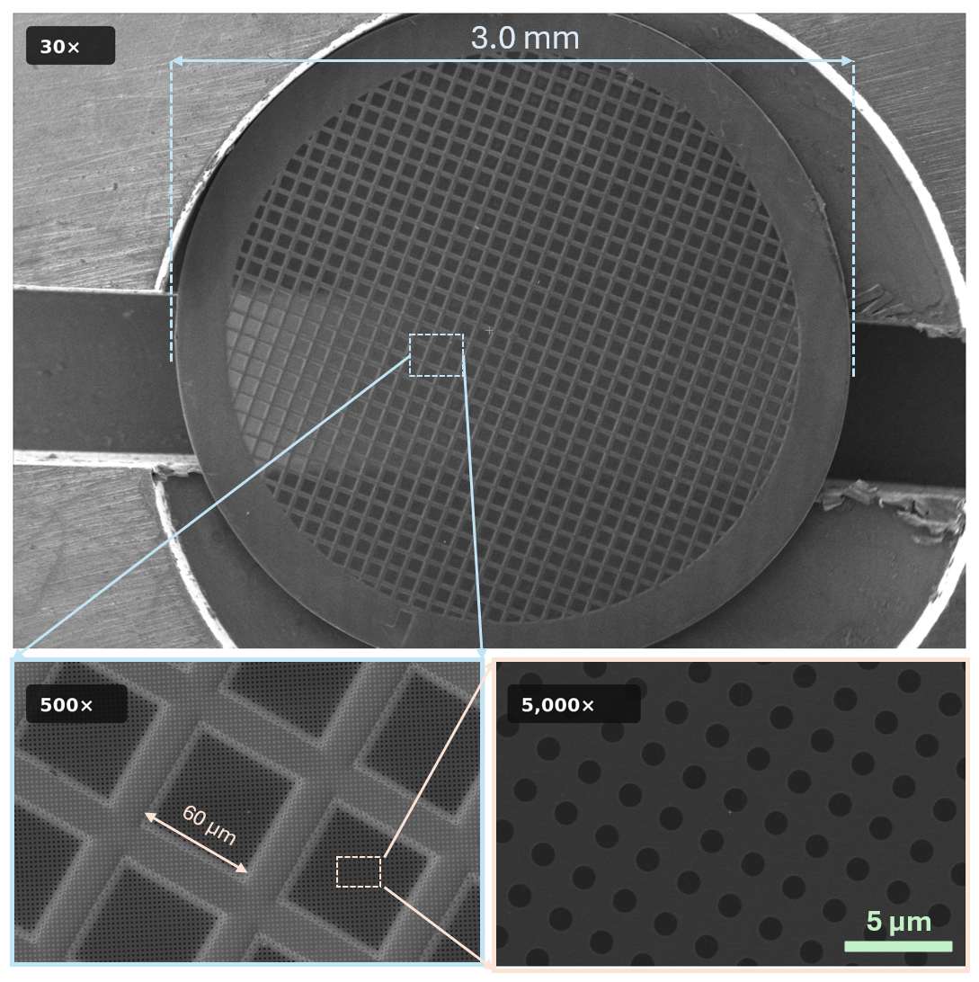 Early Access - Sindri Graphene Grids, Holey Carbon on Gold, R1.2/1.3, 300 Mesh
