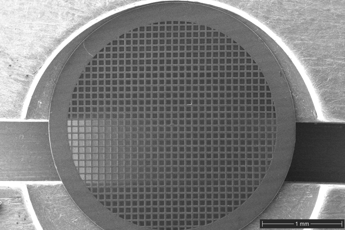 30× SEM image showing the overall structure of a 300-mesh copper cryo-EM grid with graphene-coated holey carbon film.