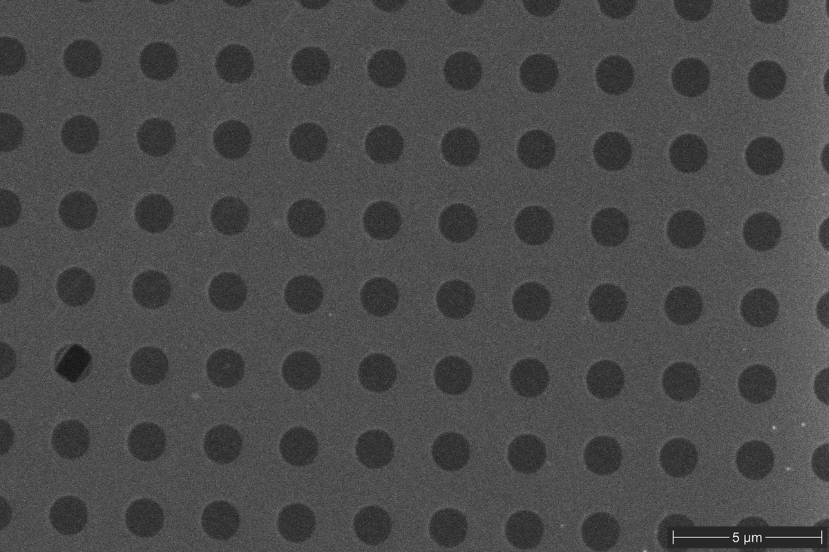 5,000× SEM image showing graphene-covered holes in an R1.2/1.3 holey carbon film supported on copper mesh.