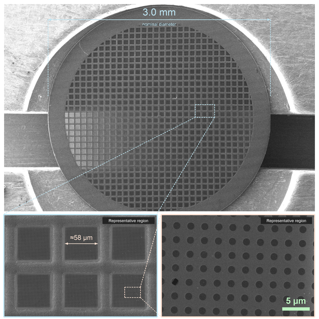 SEM overview of a Sindri graphene cryo-EM grid on copper at 30×, 500×, and 5,000× magnification.