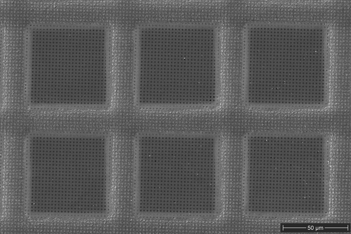 500× SEM image showing the holey carbon support film spanning mesh windows of a graphene-coated copper cryo-EM grid.