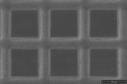 500× SEM image showing the holey carbon support film spanning mesh windows of a graphene-coated copper cryo-EM grid.