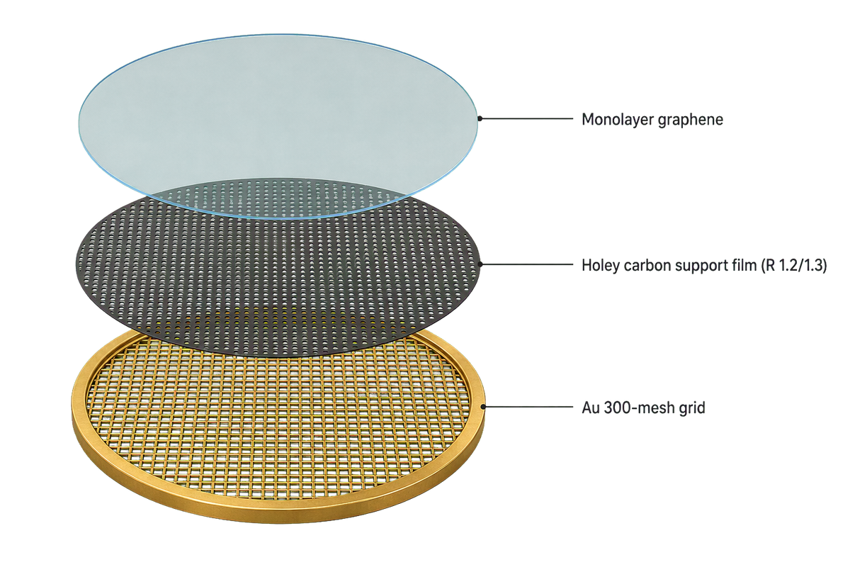 Early Access - Sindri Graphene Grids, Holey Carbon on Gold, R1.2/1.3, 300 Mesh